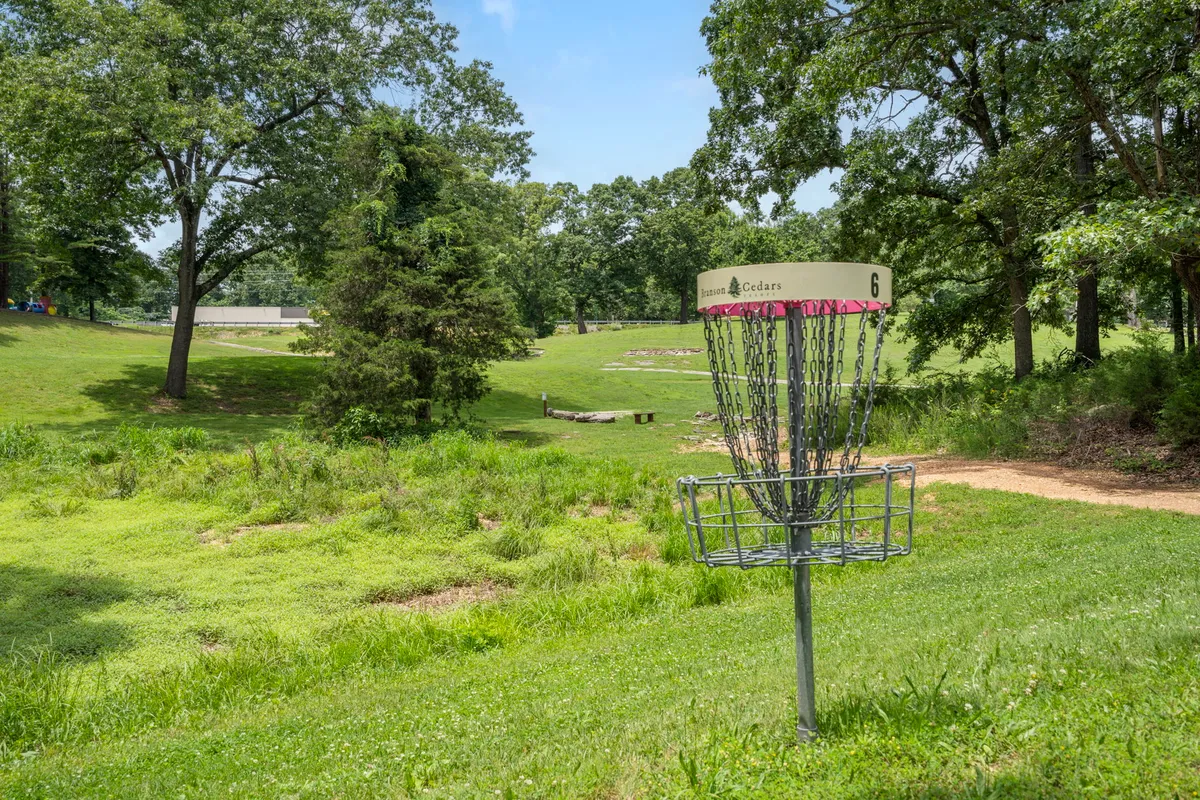 The photo showcases a disc golf basket set within a lush, green landscape bordered by tall trees. The setting is inviting for friendly games and leisurely walks, reflecting the spirit of outdoor recreation.